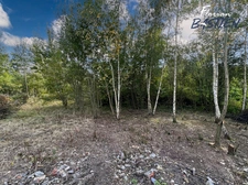 Propriété avec maison plain pied et bâtiment de 750m² sur un terrain de plus de 3 hectares