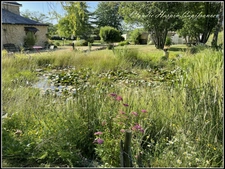 House for sale, 8 rooms, AIRVAULT (79) - 2769 m² plot - 5 bedrooms - pond - 288 m² living space