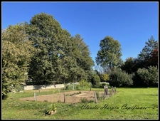 Maison à vendre 5 pièces VERRUYES (79) 183.11 m² terrain 3260 M² - 3 ch, annexe pièce d'été, grange, dépendances, piscine hors sol