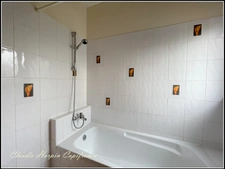 Dpt Deux Sèvres (79), for sale PROPERTY POMPAIRE sector, house and gîte P9 - land of approximately 2495 m²