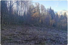 Ensemble de parcelles Naturelles ARACHES LA FRASSE (74)