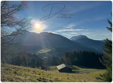 Ensemble de parcelles Naturelles ARACHES LA FRASSE (74)