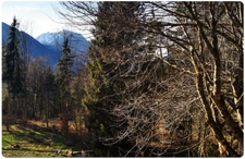 Ensemble de parcelles Naturelles ARACHES LA FRASSE (74)