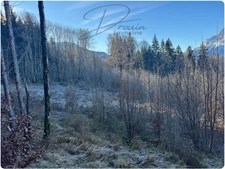 Ensemble de parcelles Naturelles ARACHES LA FRASSE (74)