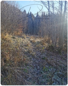 Ensemble de parcelles Naturelles ARACHES LA FRASSE (74)
