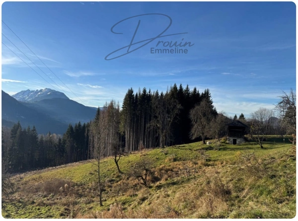 Ensemble de parcelles Naturelles ARACHES LA FRASSE (74)