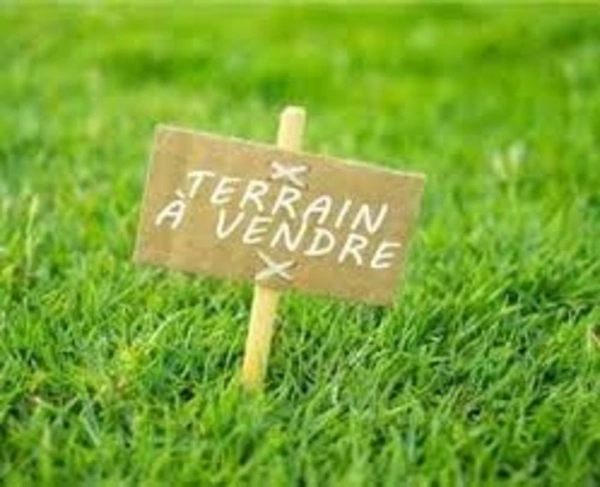 🌿 Terrain à bâtir au sein d’un éco-lieu à Selonnet (04 Alpes-de-Haute-Provence)