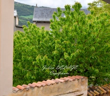AUTHENTIQUE MAISON DE VILLAGE AU CŒUR D'EMBRUN – 2 CHAMBRES – CAVE & COMBLES