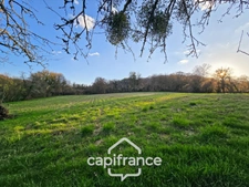 Maison de campagne à Nolay (58) avec dépendance en pierre et 7 397 m² de terrain