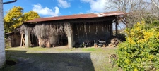 Corps de ferme avec studio rénové et dépendances entre Tarbes et  Rabastens de Bigorre 