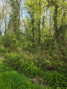 Terrain à vendre non constructible  de 2 500,00 m² LE CHAMP SAINT PERE (85) le piquet 