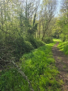 Terrain à vendre non constructible  de 2 500,00 m² LE CHAMP SAINT PERE (85) le piquet 