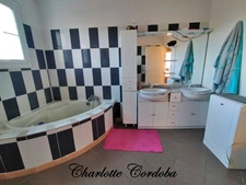 House 233 m² with separate apartment - Energy Performance Certificate B - Land 2000 m² - Feugarolles