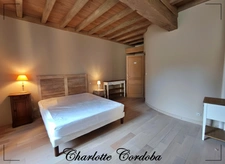 Characterful 18th-century residence with swimming pool, 5 suites and bed and breakfast business – Vianne