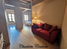 Characterful 18th-century residence with swimming pool, 5 suites and bed and breakfast business – Vianne
