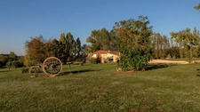 Belle Maison de caractère en pierre avec piscine et terrain de 7.5 ha - Proche de Castillonnès (47)