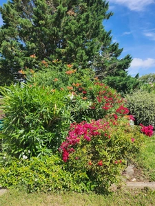Beautiful architect-designed house - with the possibility of a separate office (ideal for a professional practice) - for sale in Bias - Lot-et-Garonne (47), 