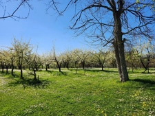 Nice Property with swimming pool and dependances - house P5 - for sale - near Villeréal - ST Eutrope de Born  (Lot-et-Garonne)