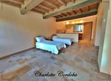 Characterful 18th-century residence with swimming pool, 5 suites and bed and breakfast business – Vianne