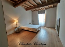 Characterful 18th-century residence with swimming pool, 5 suites and bed and breakfast business – Vianne