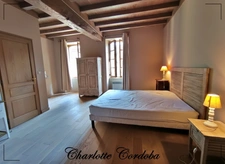Characterful 18th-century residence with swimming pool, 5 suites and bed and breakfast business – Vianne