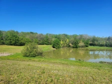 Terrain  avec étang de pêche en campagne -  3.54 ha- à vendre - VILLENEUVE SUR LOT (47)
