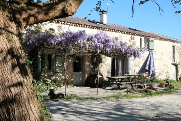 Belle longère en pierre - 4/5 chambres - DPE A - Nérac (Lot-et-Garonne)