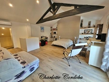 Charming stone house – Generous living spaces in the heart of Sérignac-sur-Garonne