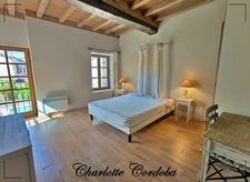Characterful 18th-century residence with swimming pool, 5 suites and bed and breakfast business – Vianne