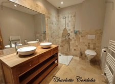Characterful 18th-century residence with swimming pool, 5 suites and bed and breakfast business – Vianne