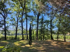 Belle villa de plain pied avec cadre exceptionnel -  à vendre -  4 pièces - proche de MONFLANQUIN 47150 (Lot-et-Garonne)