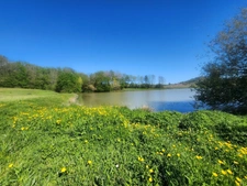 Terrain  avec étang de pêche en campagne -  3.54 ha- à vendre - VILLENEUVE SUR LOT (47)