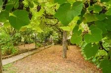 Maison à vendre 4 pièces ROMBAS (57)