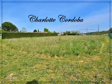 Terrain à vendre de 2 055,00 m² BARBASTE (47)