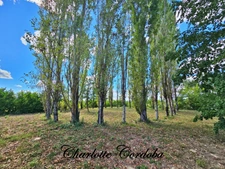 Magnifique longère en pierre, dépendances et plus de 2.7Ha de terrain – charme et potentiel SERIGNAC SUR GARONNE
