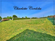 Terrain à vendre de 2 055,00 m² BARBASTE (47)