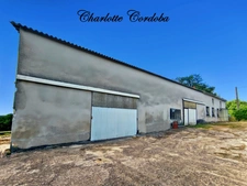 MONTAGNAC : Maison de caractère en pierre avec plus de 200 m² à aménager - Cachet rural et volumes à créer 