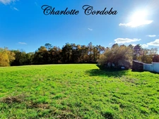 A haven of peace in the heart of nature – Charming property on nearly 3 hectares in Barbaste