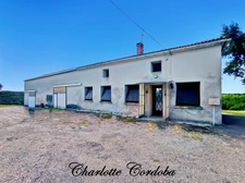 MONTAGNAC : Maison de caractère en pierre avec plus de 200 m² à aménager - Cachet rural et volumes à créer 