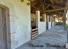 A haven of peace in the heart of nature – Charming property on nearly 3 hectares in Barbaste