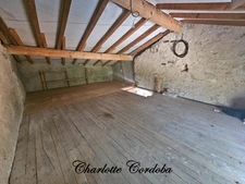 Maison à vendre avec fort potentiel 1 pièce LAVARDAC (47)