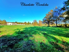 A haven of peace in the heart of nature – Charming property on nearly 3 hectares in Barbaste