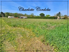 Terrain à vendre de 2 055,00 m² BARBASTE (47)