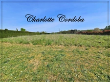 Terrain à vendre de 2 055,00 m² BARBASTE (47)