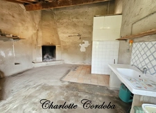 Maison plain-pied 3 chambres - Double garage - Dépendances - 2980 m² de terrain et bois