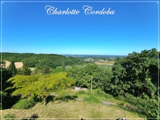 Maison en pierre de 313 m² avec vue panoramique et près de 2 hectares de terrain