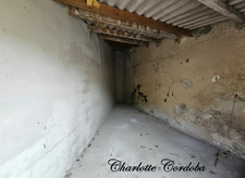 🏡 Maison de plain-pied 3 pièces rénovée avec jardin de 610 m² et double garage – Le calme à deux pas des commodités !