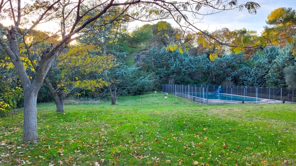 Rare sur la commune de Montferrier sur Lez