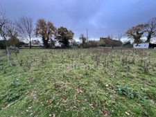 Terrain à vendre  PLELO (22)