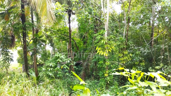 Terrain à vendre de 1 000,00 m² MORNE A L'EAU (971)PROJET HABITATION OU PROFESSIONNEL